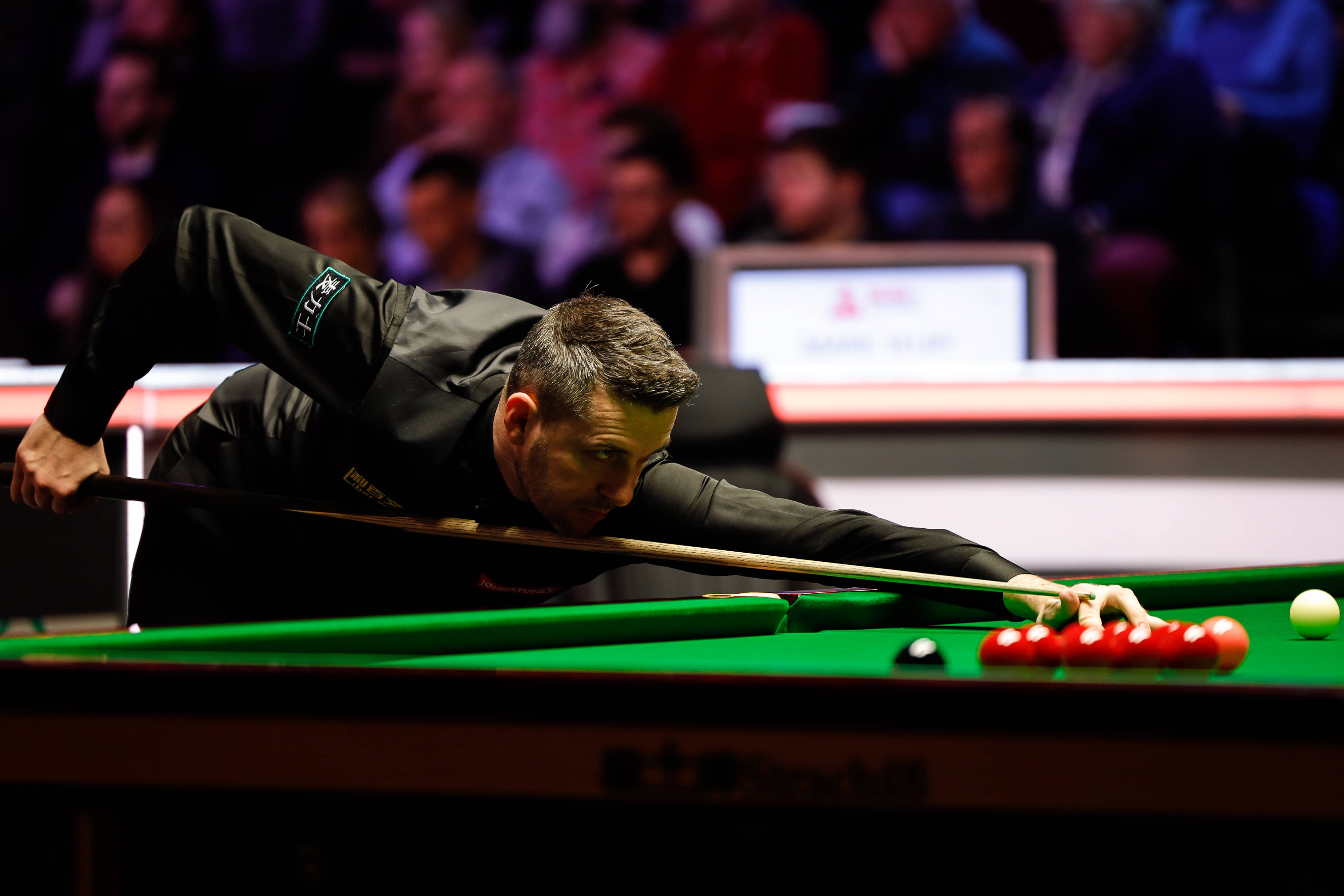 一直是备受 一直是备受