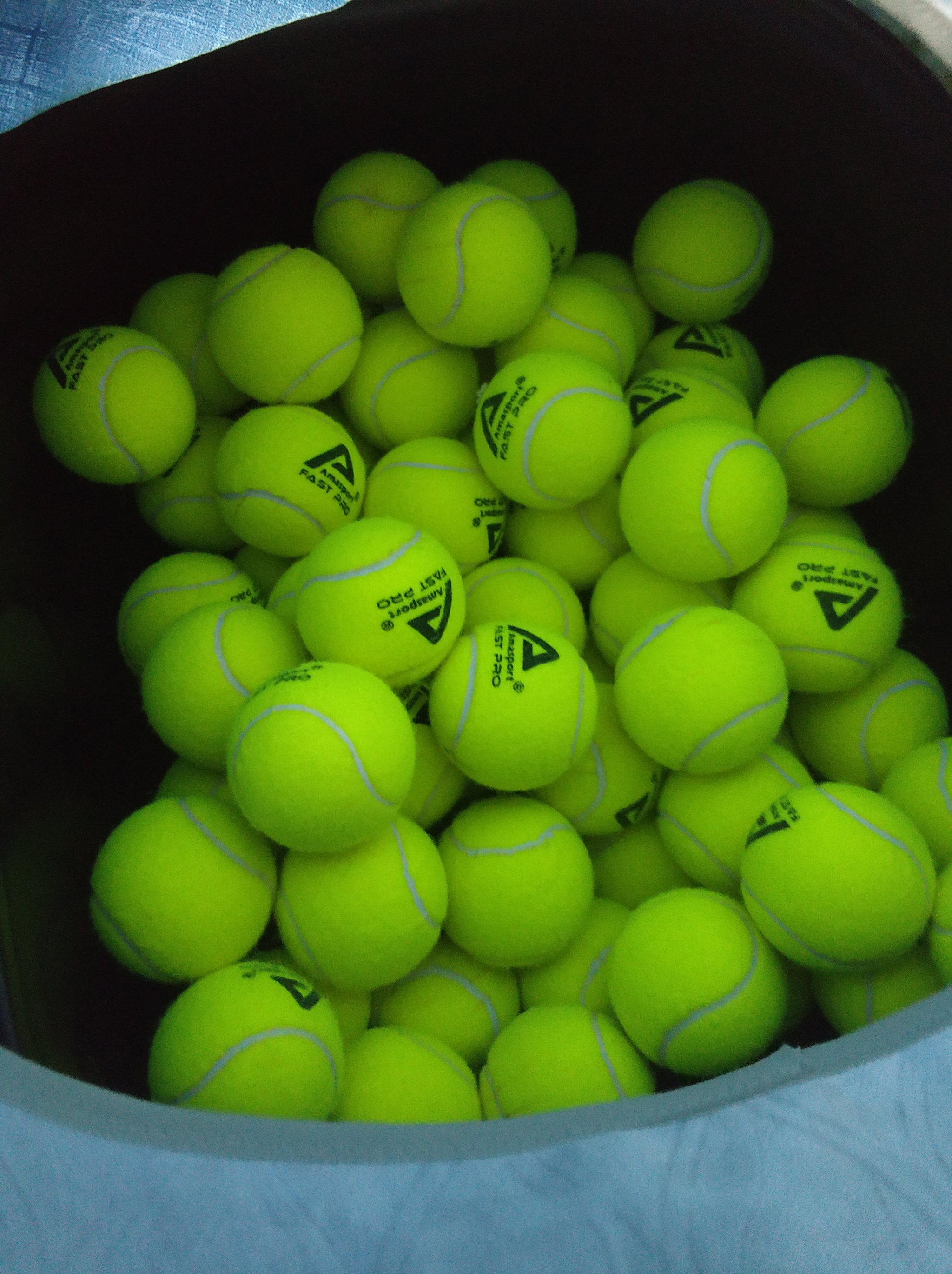 让她常年位 让她常年位